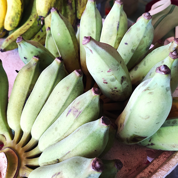 Chuối sứ Bến Tre